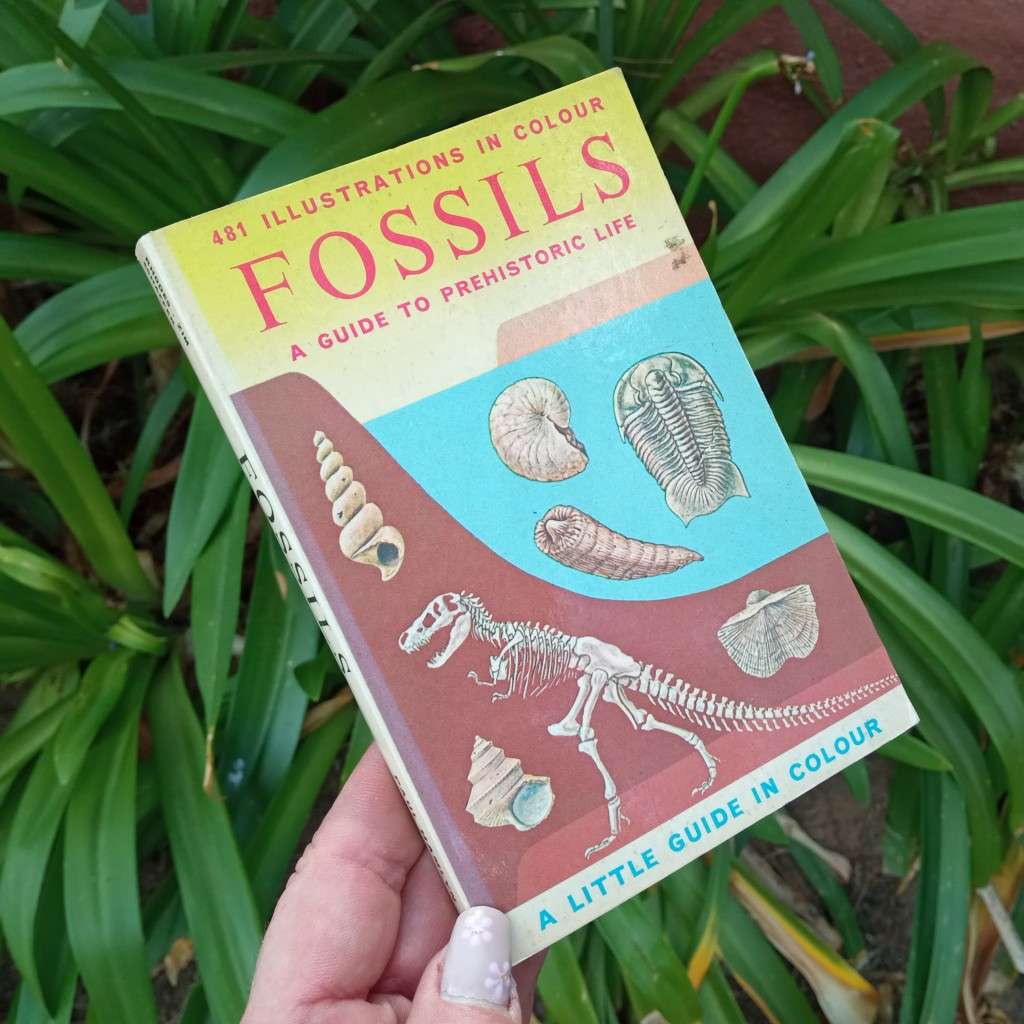 Fossils 1962 VINTAGE BOOK paperback - 481 colour illustrations, A guide to Prehistoric Life