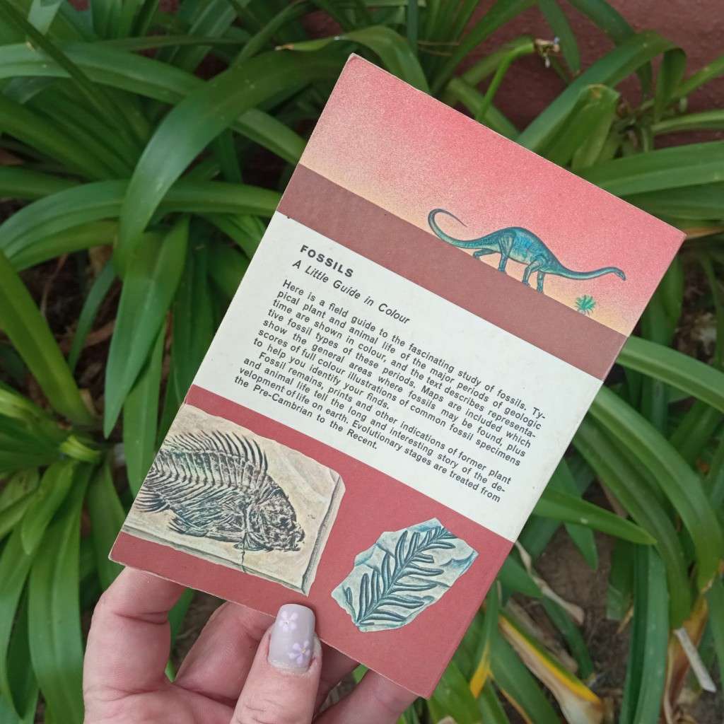 Fossils 1962 VINTAGE BOOK paperback - 481 colour illustrations, A guide to Prehistoric Life