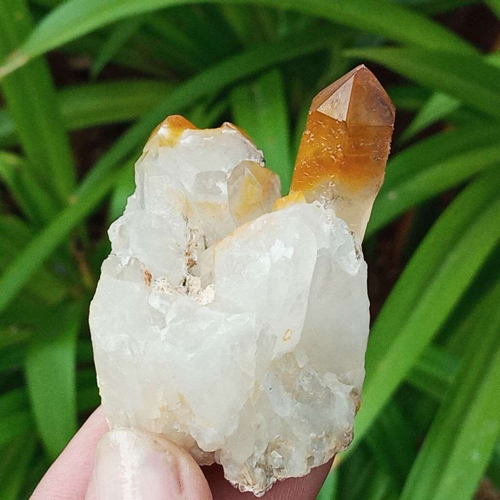 Golden Quartz, goethite smoky, Northern Cape, South Africa 79g 5 x 4.9 x 3.4cm Golden Healer crystal