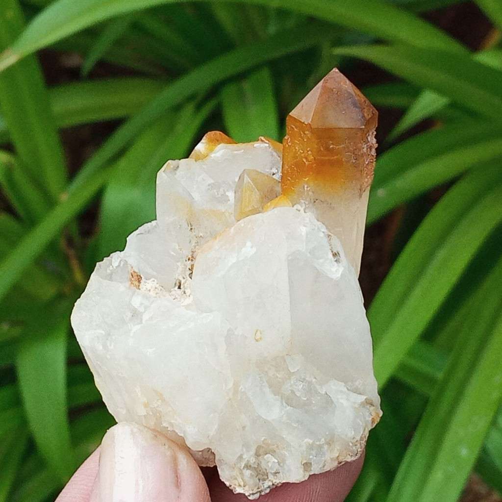 Golden Quartz, goethite smoky, Northern Cape, South Africa 79g 5 x 4.9 x 3.4cm Golden Healer crystal