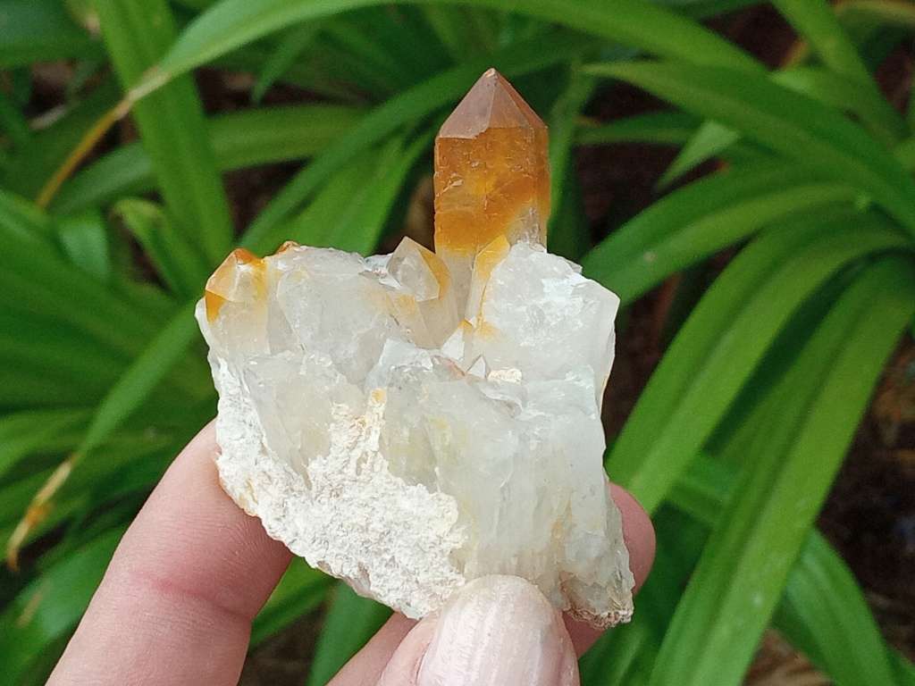 Golden Quartz, goethite smoky, Northern Cape, South Africa 79g 5 x 4.9 x 3.4cm Golden Healer crystal
