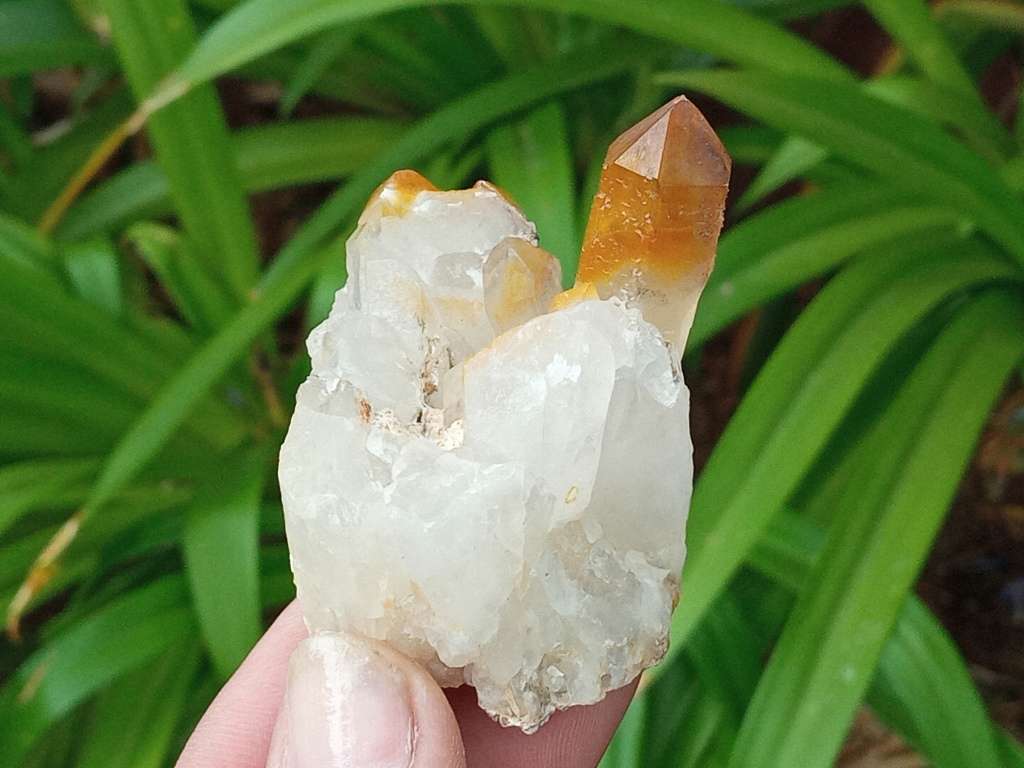 Golden Quartz, goethite smoky, Northern Cape, South Africa 79g 5 x 4.9 x 3.4cm Golden Healer crystal