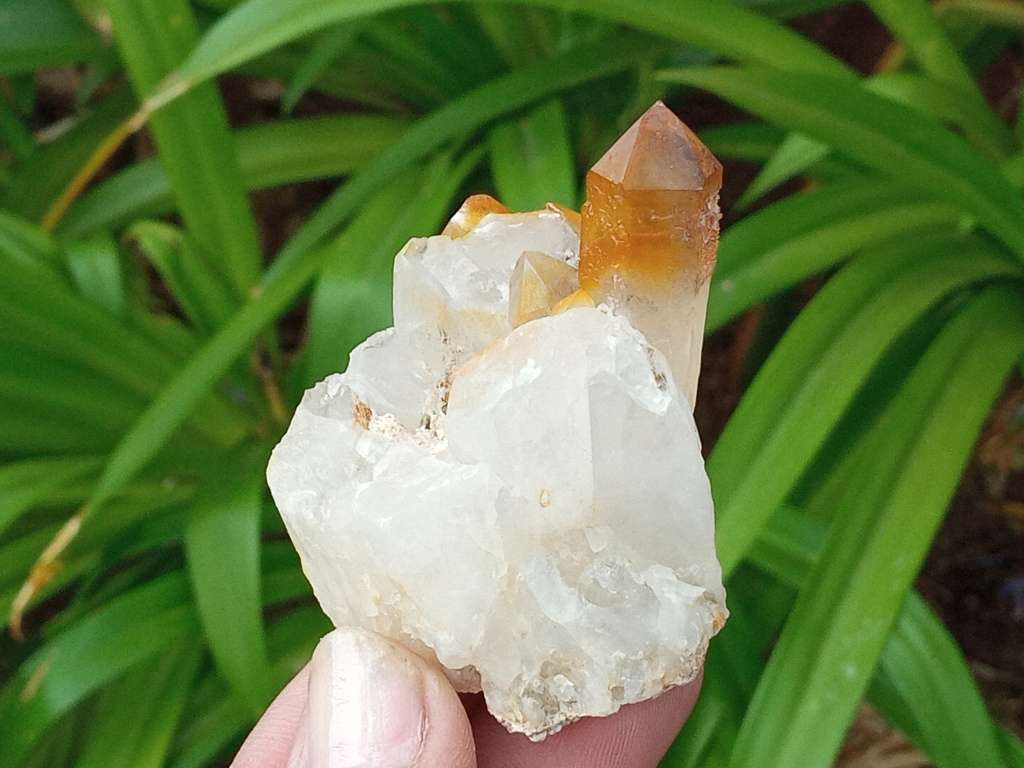 Golden Quartz, goethite smoky, Northern Cape, South Africa 79g 5 x 4.9 x 3.4cm Golden Healer crystal
