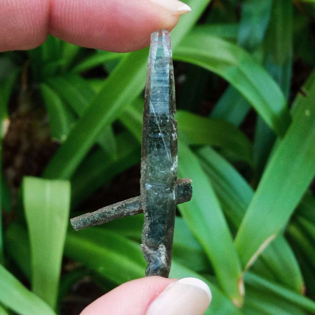 Riebeckite Aegirine included quartz cross - Mt Malosa, Zomba plateau, Malawi 52 mm