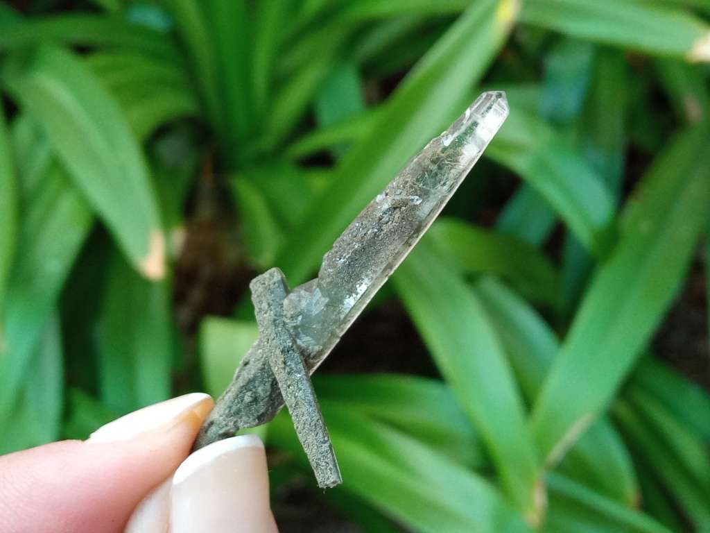 Riebeckite Aegirine included quartz cross - Mt Malosa, Zomba plateau, Malawi 52 mm