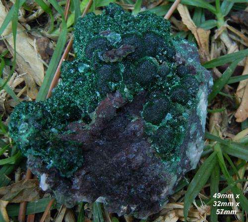 Tsumeb mine malachite crystals on matrix-namibia-74g