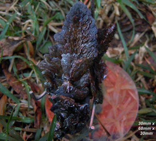 Berg aukas mine descloisite crystal cluster-namibia-45g