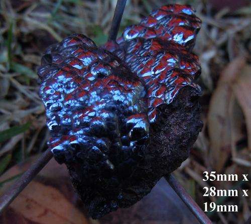 Atlas mtn botryoidal hematite crystals on matrix-morocco-33g