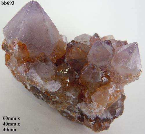 Boekenhouthoek cactus quartz crystal cluster-South Africa-73gram