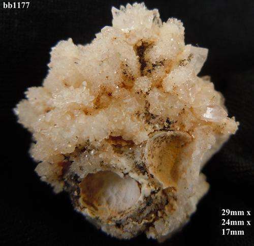 Goboboseb Brandberg quartz crystals on matrix-South Africa-8gram