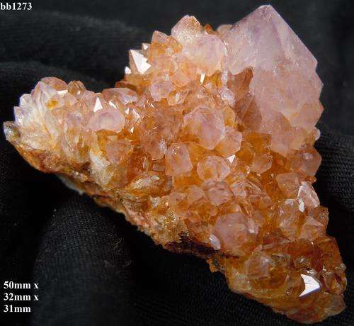 Boekenhouthoek cactus quartz crystal cluster-South Africa-35gram