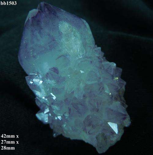 Boekenhouthoek cactus quartz crystal cluster-South Africa-32gram