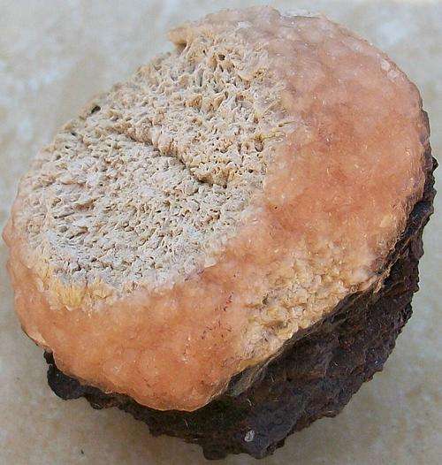 Kalahari manganese fields olmiite crystals on matrix-south africa-63g