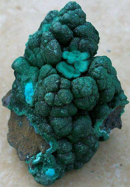 Katanga malachite crystals on matrix-drc-40g