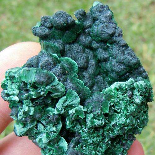 Katanga region malachite crystal cluster-democratic republic congo-59g