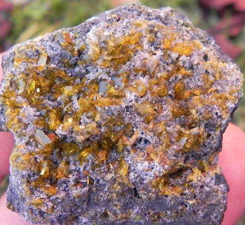 Kalahari manganese fields sturmanite and calcite crystals on matrix-south africa-76g