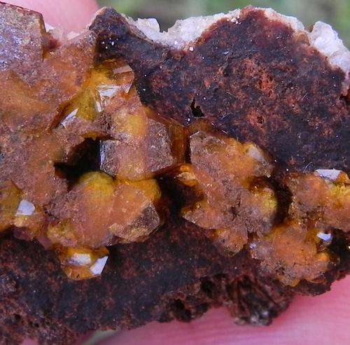Kalahari manganese fields sturmanite crystals on matrix-south africa-10g
