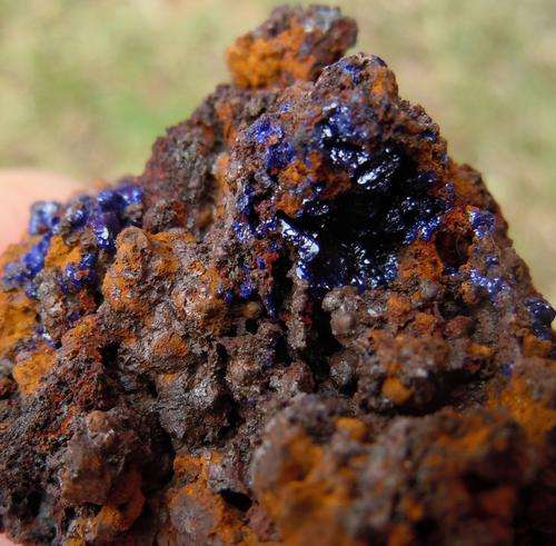 Vergenoeg mine azurite crystals on goethite matrix-south africa-46g