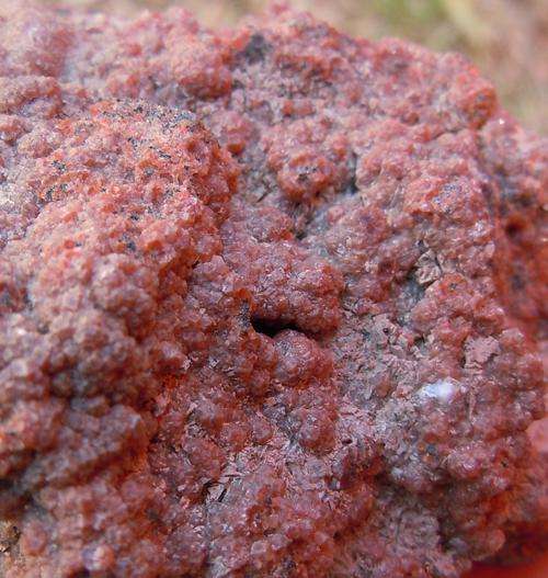 Kalahari manganese fields andradite garnet crystals on matrix-south africa-190g