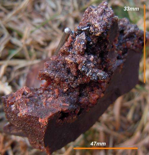Kalahari manganese fields hausmanite and andradite garnet crystals on matrix-south africa-45g