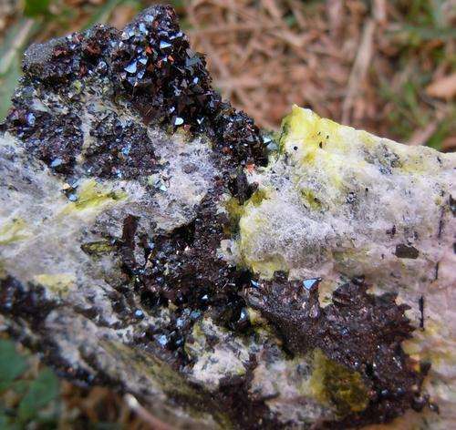 Kalahari manganese fields braunite,gaudefroyite,ettringite and calcite on matrix-south africa-214g