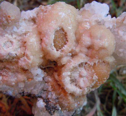 Kalahari manganese fields calcite crystals on olmiite crystal cluster-south africa-97g