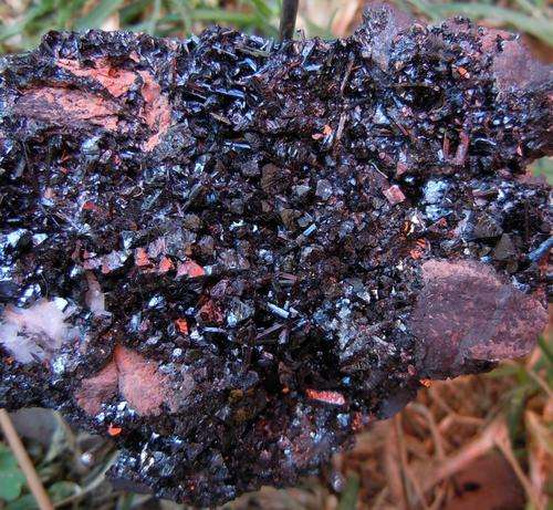 Kalahari manganese fields gaudefroyite and hausmanite crystals on matrix-south africa-141g