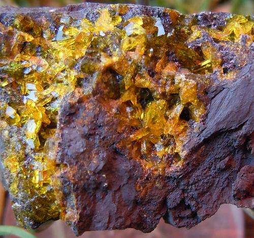 Kalahari manganese fields sturmanite crystals on matrix-south africa-31g