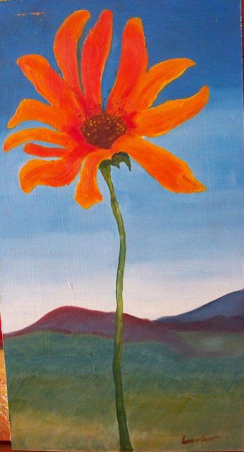 Daisy Flower-(335x525mm) by C. van Vuuren