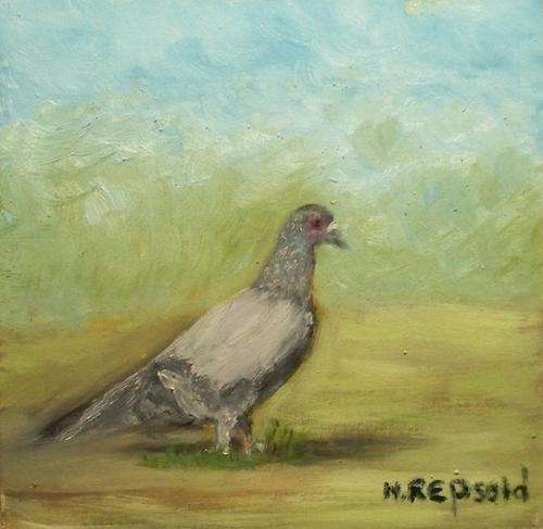 Rock Pigeon-8/8"-Artist - N.Repsold