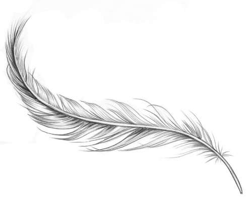 Feather