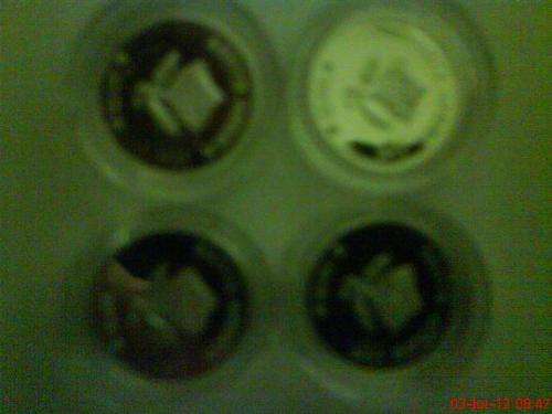 ***DBN Mintmark 2013 Flypress Tickey***Today's Coin Show** Only 1 Available***