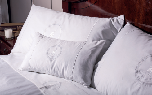 Polo Brand Egyptian Cotton 300 Thread Count  Duvet Cover Set