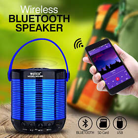 Bluetooth Mini Speaker WS-883 With Micro SD & USB Support