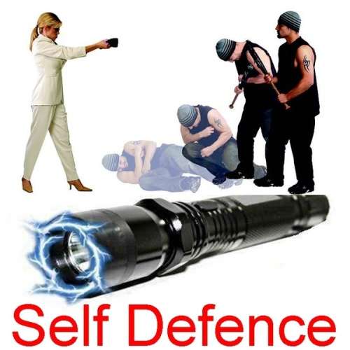Light Flashlight (Plus) Self Defence Stun Gun