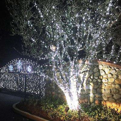 100 LED White Christmas/Party Lights - 10m Long