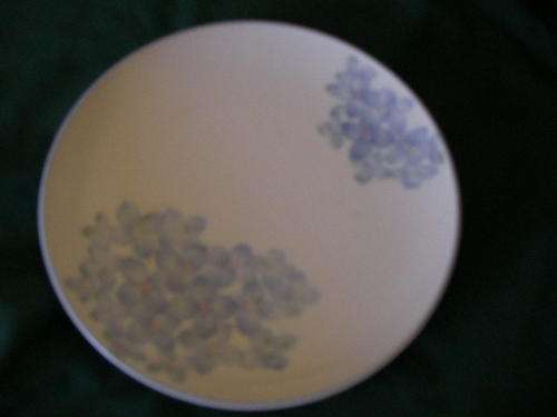 Collectable glass plate  - FREE GIFT INCLUDED