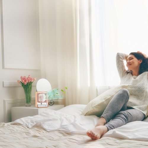 Desk Fan, Small Silent LED Night Light Portable Fan USB Rechargeable Portable Cooling Fan with Fog