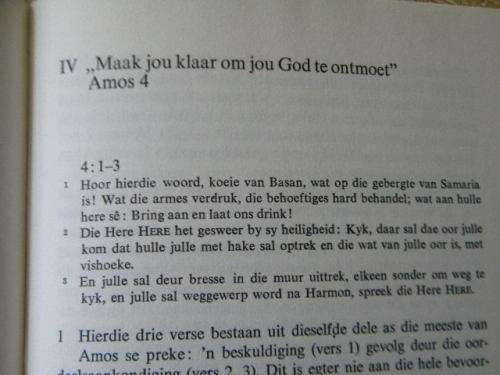 DIE PROFEET AMOS  deur Dr. Adrio Konig