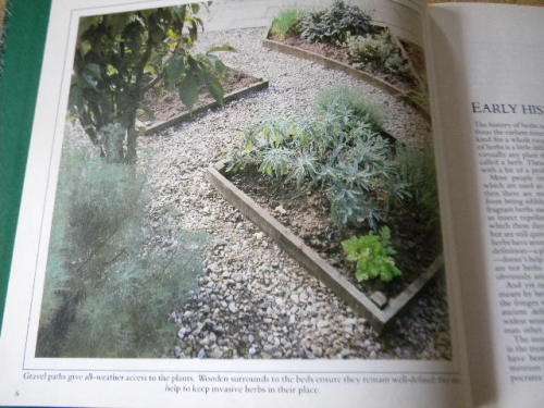 HERBS  Gardener`s Guide  by Jane Courtier