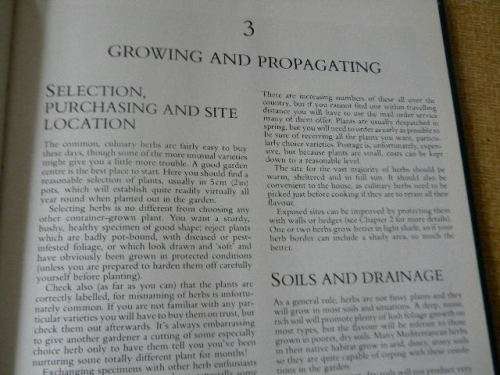 HERBS  Gardener`s Guide  by Jane Courtier