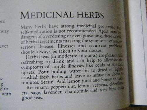 HERBS  Gardener`s Guide  by Jane Courtier