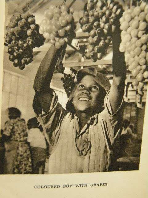 IN SEARCH FOR SOUTH AFRICA  by H. V. Morton