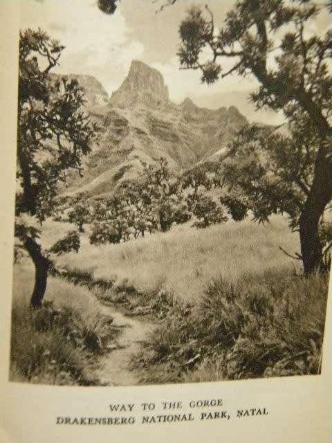 IN SEARCH FOR SOUTH AFRICA  by H. V. Morton