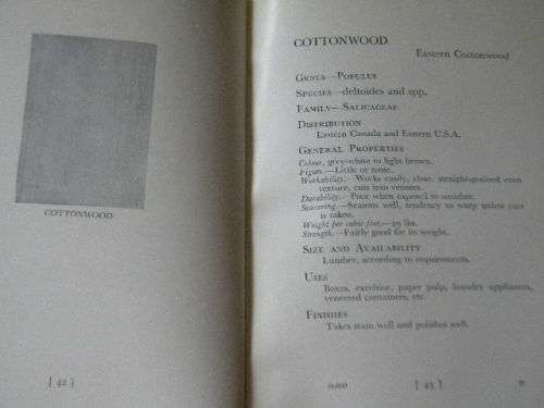 A DICTIONARY OF WOOD  by E. H. B. Boulton