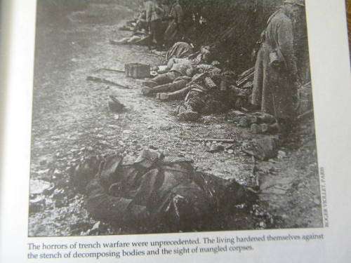 NAZI GERMANY AND WORLD WAR II  by Donald D. Wall