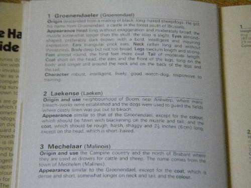 THE HAMLYN GUIDE TO DOGS  Consultant Editor H. Glover  Illustrations: K. van den Broede