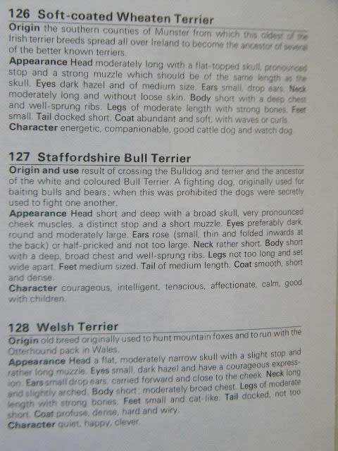 THE HAMLYN GUIDE TO DOGS  Consultant Editor H. Glover  Illustrations: K. van den Broede