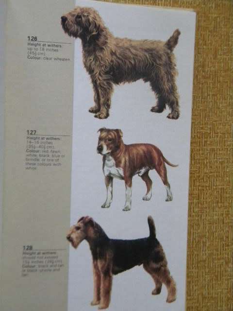THE HAMLYN GUIDE TO DOGS  Consultant Editor H. Glover  Illustrations: K. van den Broede
