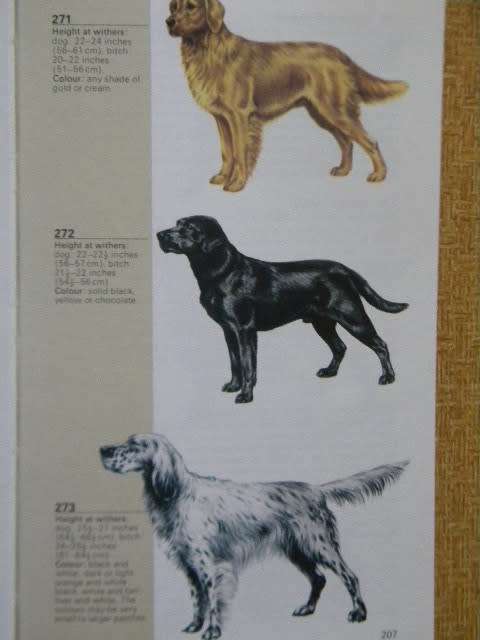 THE HAMLYN GUIDE TO DOGS  Consultant Editor H. Glover  Illustrations: K. van den Broede